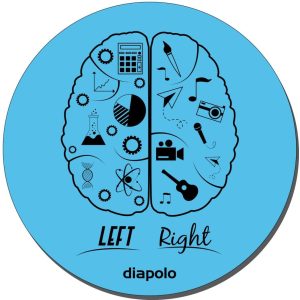 Egérpad-Brain-2