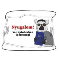 Nyugalom